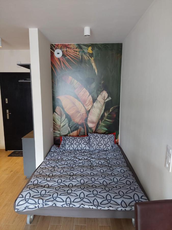 Apartament Pod Szyndzielnia, Debowiec Bielsko-Biala Exterior photo